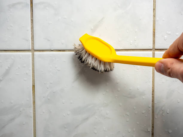 Best Office Mold Removal Services  in Long Lake, MN
