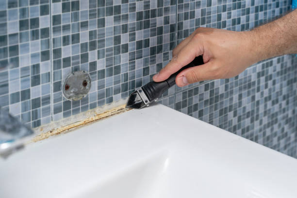 Mold Testing and Removal in Long Lake, MN